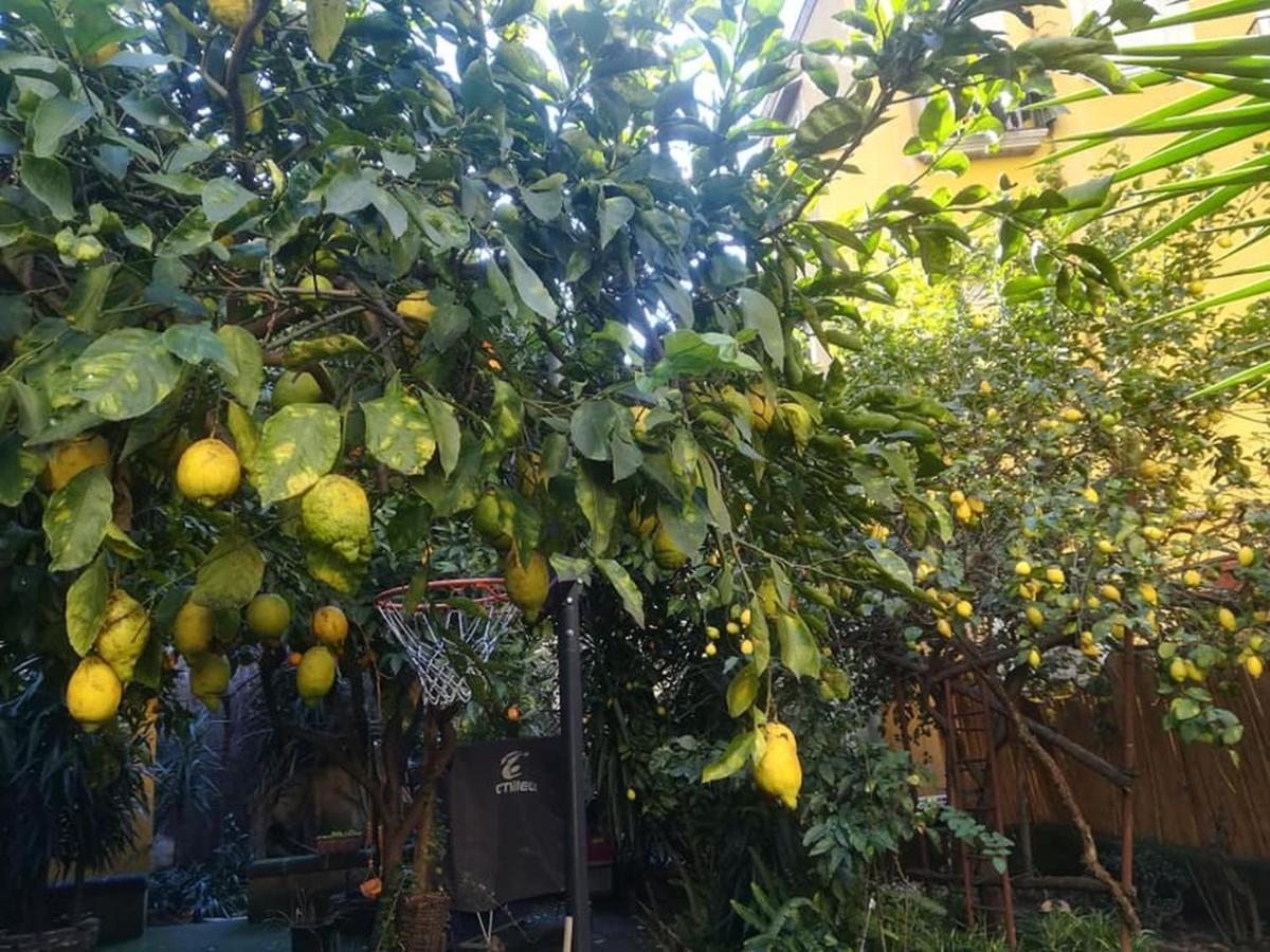 Appartement La Limonaia Di Chiaia à Naples Extérieur photo