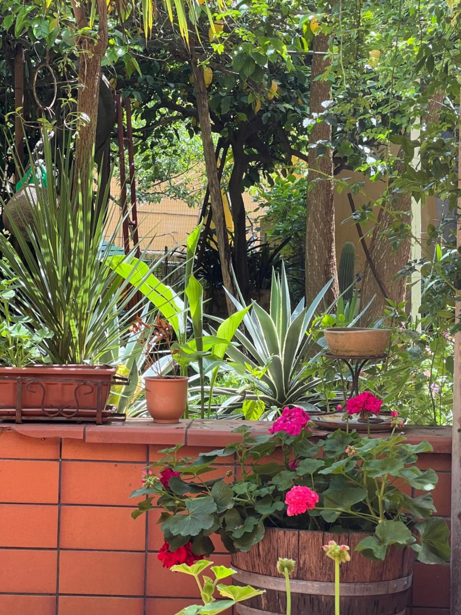 Appartement La Limonaia Di Chiaia à Naples Extérieur photo